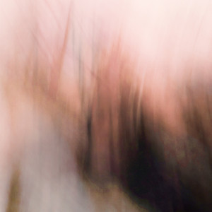 Rephrase by Joachim Spieth