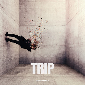 Trip