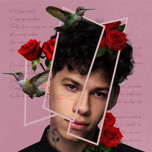Codinome Beija-Flor by Dhalmas