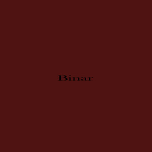 Binar by Autor Lina