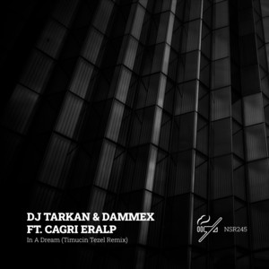 In a Dream - Timucin Tezel Remix by DJ Tarkan, Dammex, Cagri Eralp, Timucin Tezel