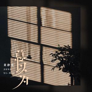 總以為（DJEva版） by 黃靜美