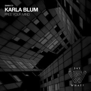 Free Your Mind (Alex Stein Remix) by Karla Blum, Alex Stein