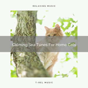 Calming Sea Tunes For Home Cats album