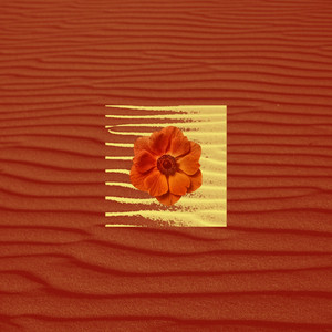 Flowers Don't Bloom On Clouds by Bleed Ink, Ahmer, Kafil Qurashie