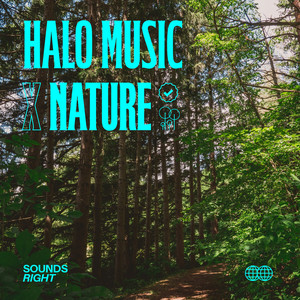 Michigan Dew 432Hz by NATURE, Hinode, Halo Healing