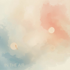 In The Air by bonaira