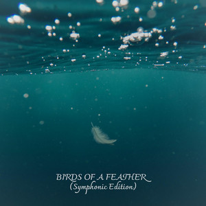 UtkU - BIRDS OF A FEATHER (Symphonic Edition)