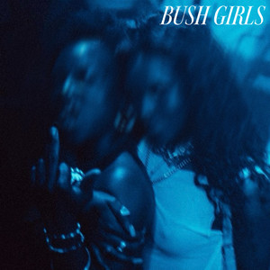 Bush Girls by Tim Duzit