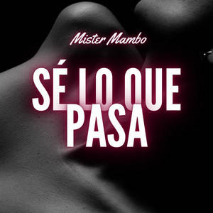 Sé Lo Que Pasa by Mister Mambo