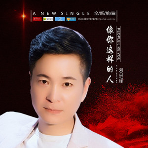 像你这样的人 - 伴奏 by 刘兴锋