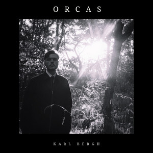 Orcas by Karl Bergh