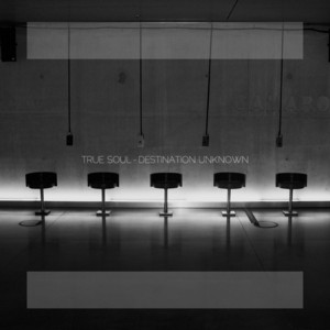 True Soul cover