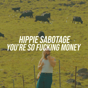 You're So Fucking Money