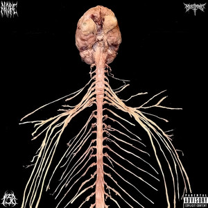 Brain decay by Mope, MXRTMANE, SPONTANEOUS COMBUSTION, Kusakarii