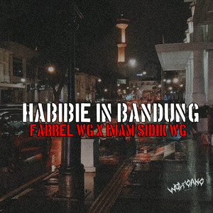 HABIBIE IN BANDUNG by Farrel WG, Imam Sidik
