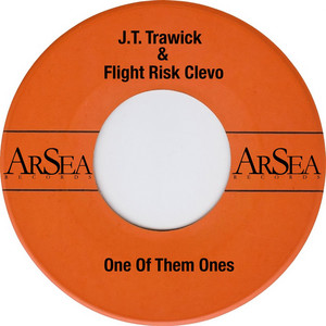 One Of Them Ones by J.T. Trawick, Flight Risk Clevo