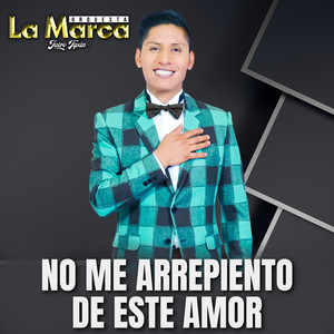 No Me Arrepiento de Este Amor