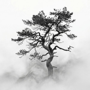 Naturens Ånd by RAVNIR