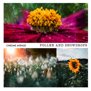 Pollen And Snowdrops by Chrome Avenue