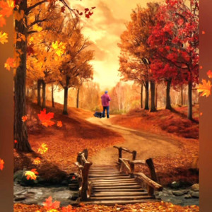 You left like a season