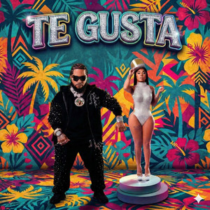 Te Gusta album cover