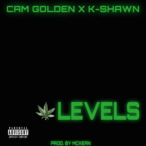 Portada de Levels