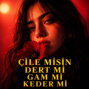 Çile Misin Dert Mi Gam Mı Keder Mi by Anatolian Psych Rock Archive