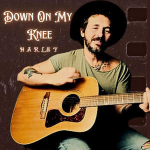 Down On My Knee by Harley DiNardo