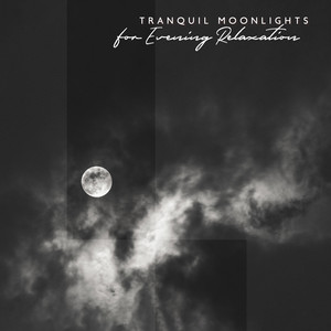 Tranquil Moonlights for Evening Relaxation: Soothing Lullabies for Sleep, Beautiful Soundscapes, Calm Dreams album