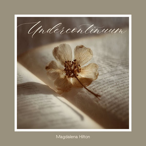 Undercontinuum by Magdalena Hilton