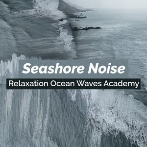 Seashore Noise album