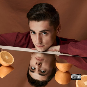 Damage Control by Levi Zane
