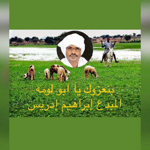 إبداعات أيقاع الجنيدي من غرب السودان - تراث الوريقات جينا بنعزوك يا ابو لومه للفنان إبراهيم إدريس