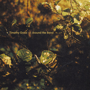 Around the Bend by Timothy Gone