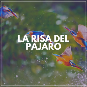 La Risa del Pájaro