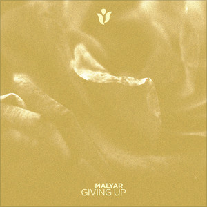 Обкладинка: Giving Up - Original Mix