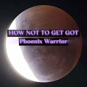 How Not To Get Got by Phoenix Warrior