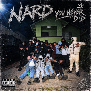 Shi you never did by Big reap
