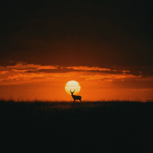in the air by ambit.