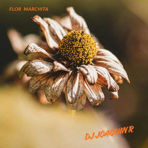 FLOR MARCHITA by Dj JoaquinR