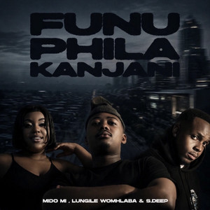 Funu Phila Kanjani by Mido Mi, Lungile Womhlaba, S.Deep.wav