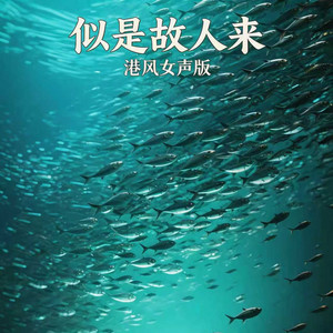 似是故人来 - 港风女声版 by 嘉欣