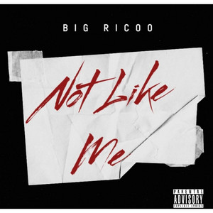 Big Ricoo - Not Like Me (Freestyle)