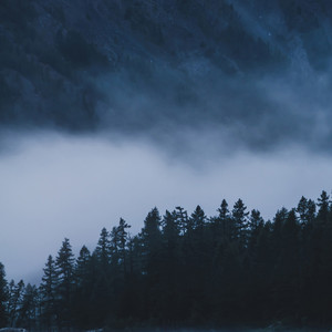 Icefield