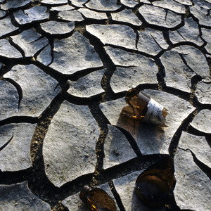 Danny Daniels poster