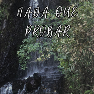 Nada que probar by Emilio Vargas