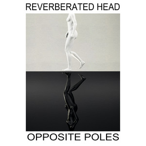 Opposite Poles by Reverberated Head