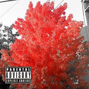 Portada de CANT PLAY ME