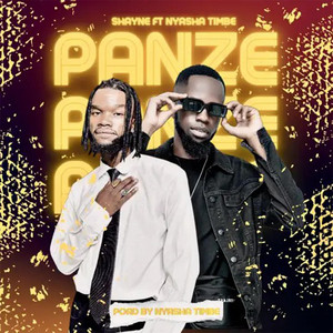 Panze by Shayne, Nyasha Timbe